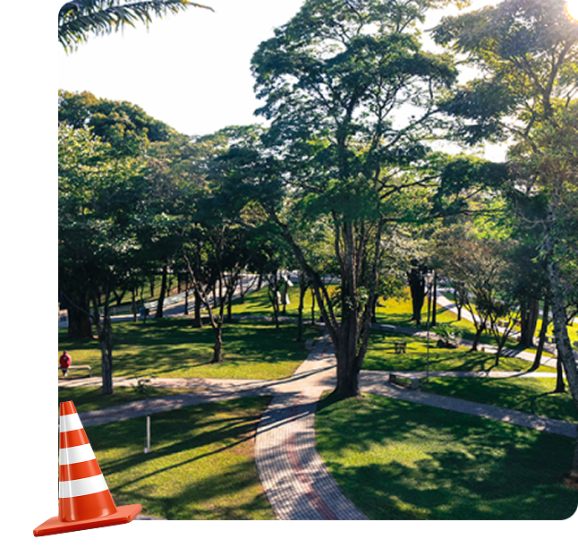 campus-sao-paulo-arvores
